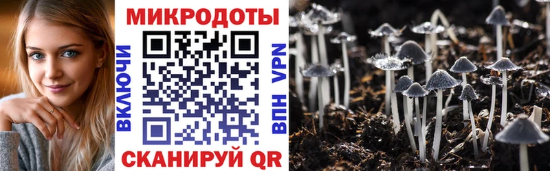 kraken вход  Слободской  Псилоцибиновые грибы прущие грибы 