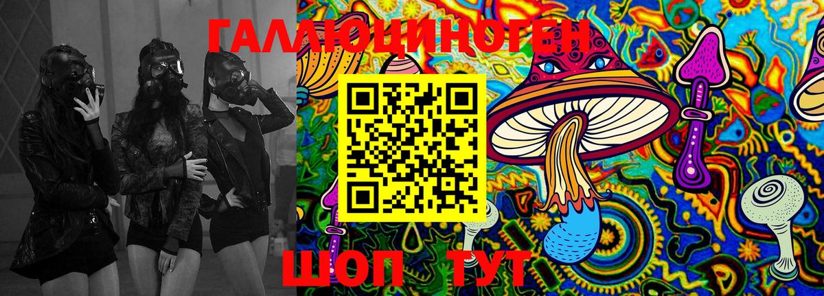 Галлюциногенные грибы Psilocybe Слободской
