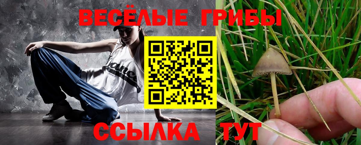 Псилоцибиновые грибы Magic Shrooms  Вход с VPN  Слободской 
