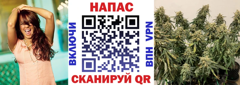 Бошки марихуана сатива Слободской